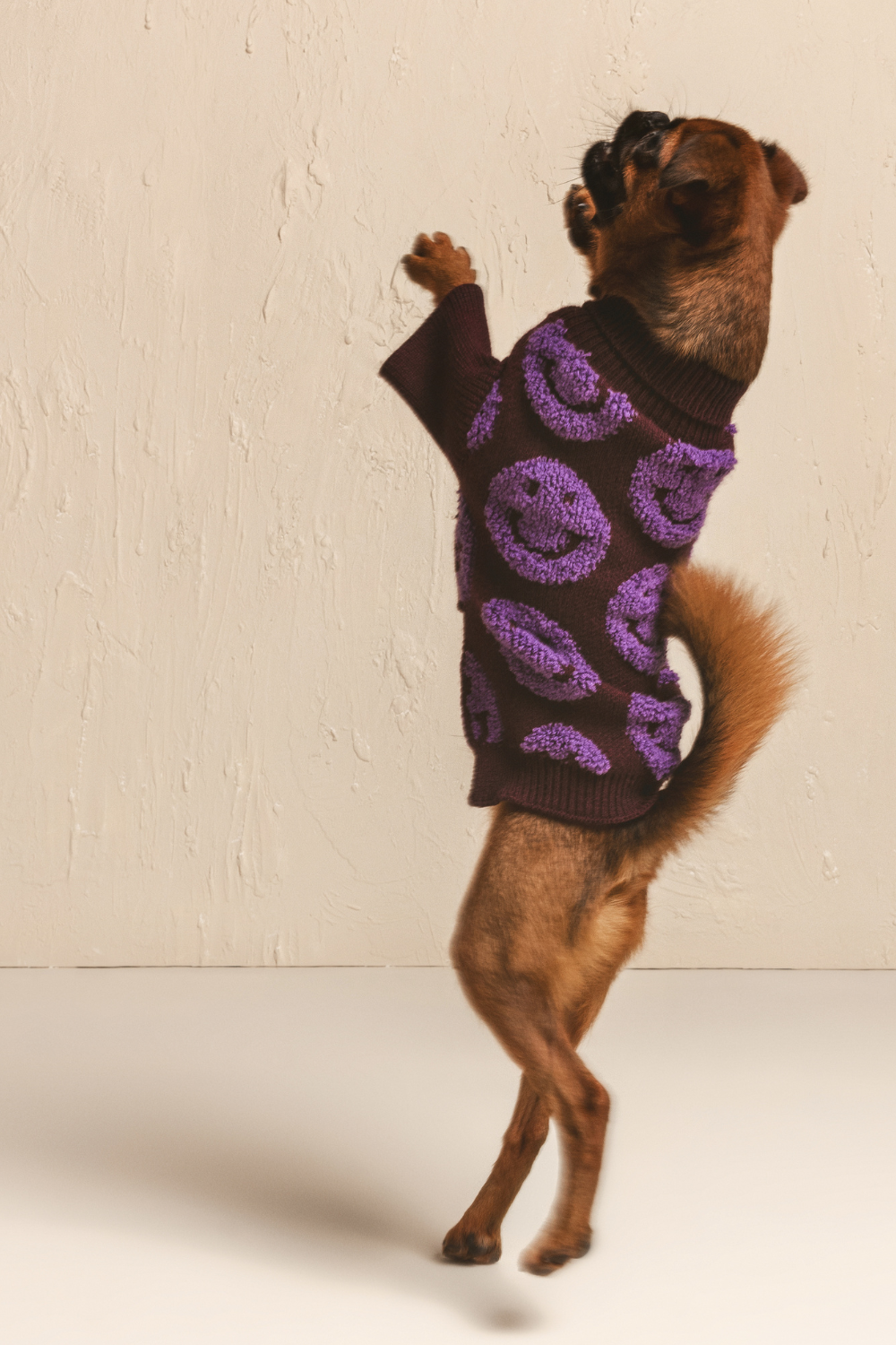 Shaya Pets Smiley Face Pet Sweater