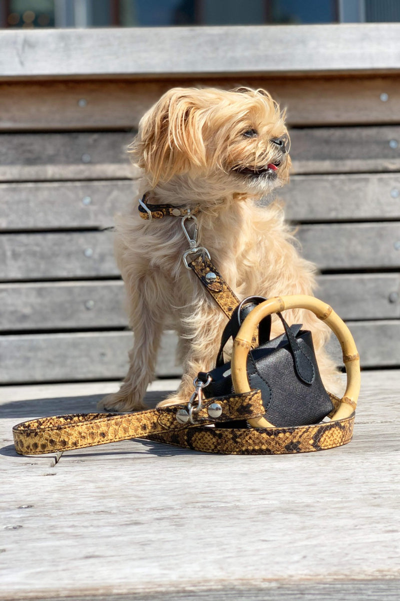 Celeb loved dog leash with matching mini handbag poop bag holder. 