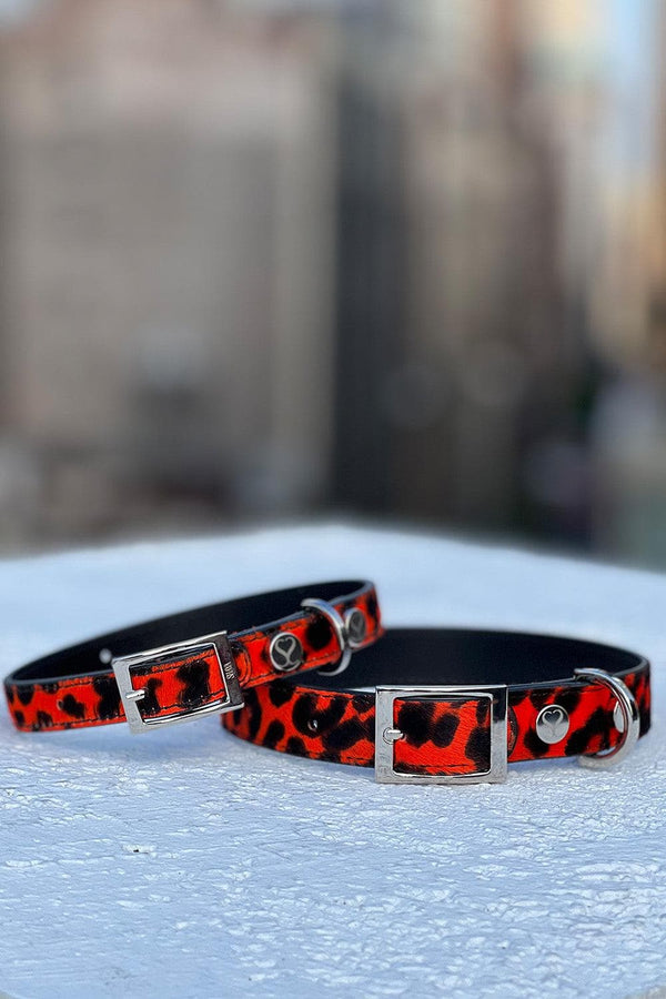 Red Leopard Leather Dog Collar - shaya pets