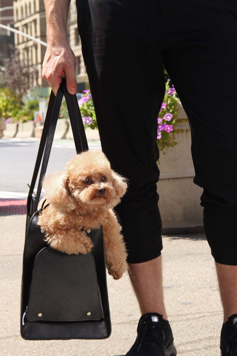 Small Dog Pet Carrier by Shaya Pets.