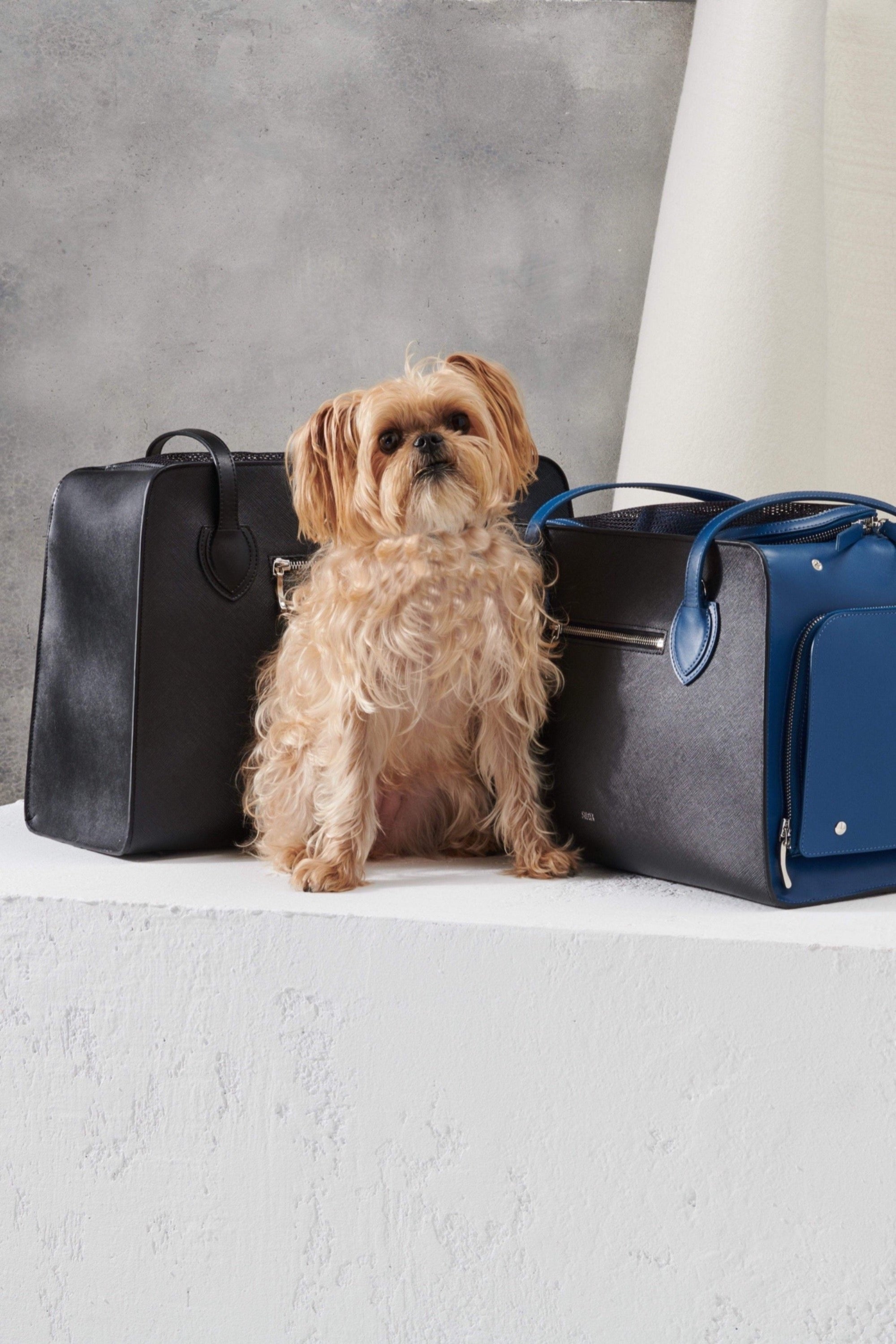 Designer Luxury Dog Carrier, Pet Carrier