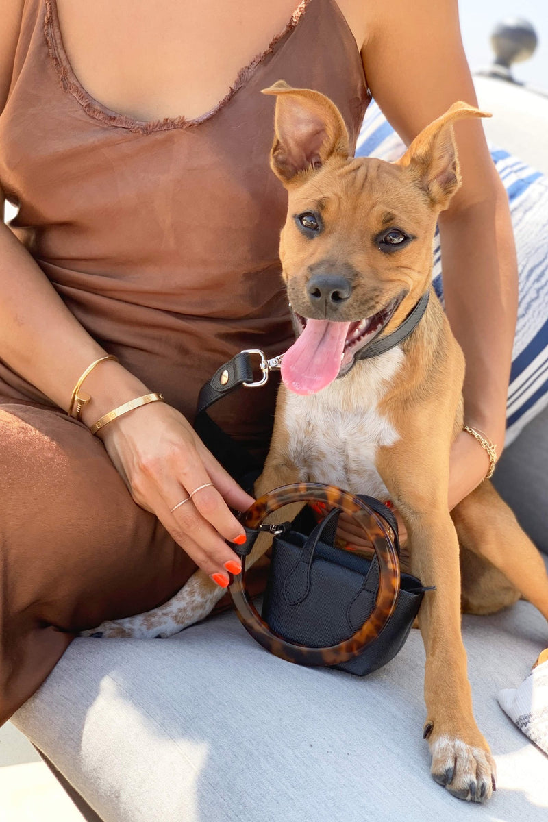 Luxury vegan pet accessories. Leashes, collars and dog bags made with vegan materials. 