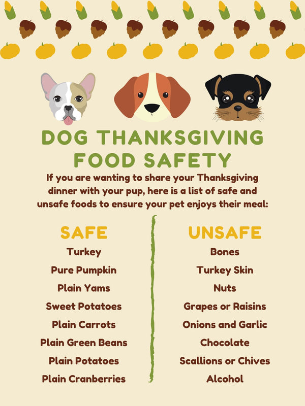 How to safely treat your pet to a Thanksgiving meal