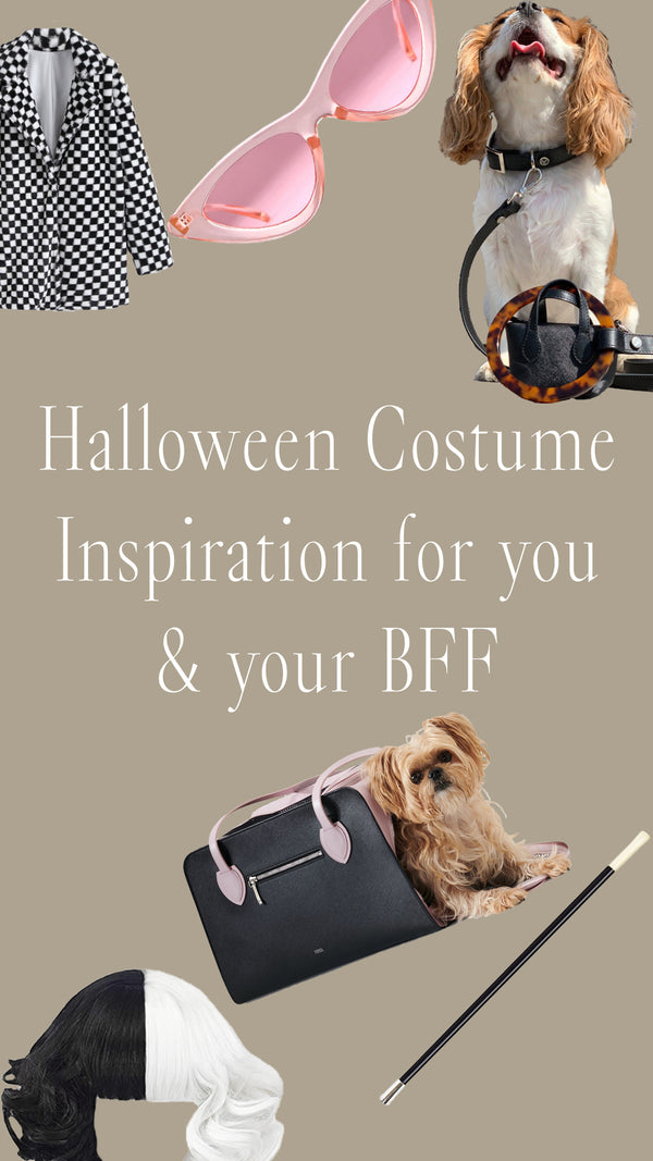 Halloween Costume Outfits for You & Your BFF
