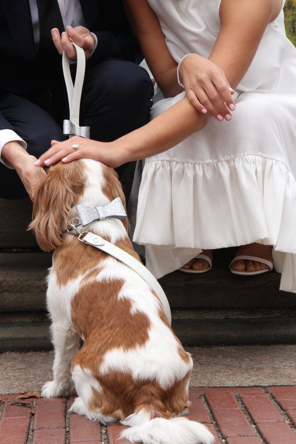 What you need to include your dog in your wedding - a checklist