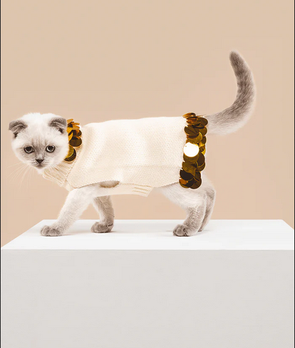 Paillete embellished pet sweater on discount in set of two bundle. 