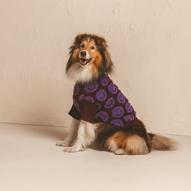 Made You Smile dog sweater