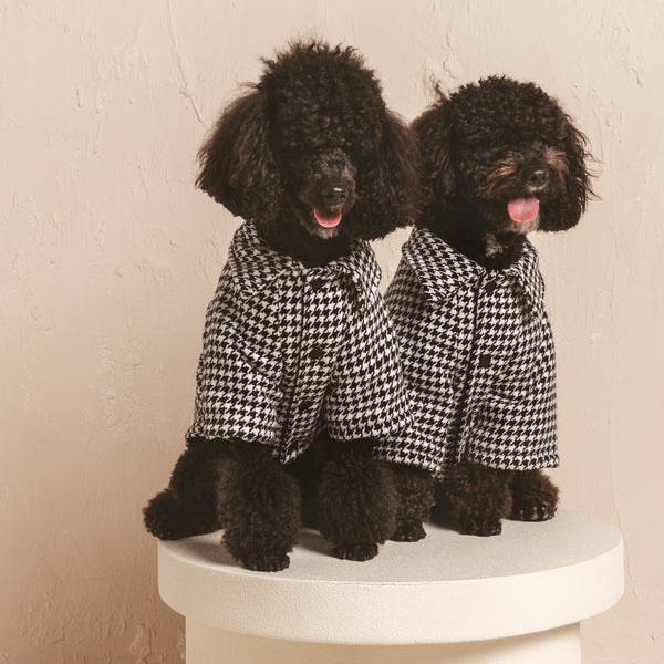 Houndstooth pet sweater part of discounted bundle.
