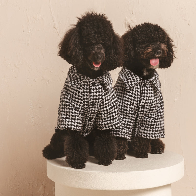 Houndstooth pet sweater part of discounted bundle.