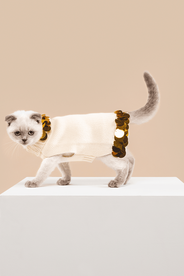 Fancy You Shaya Pets 100% cotton cat sweater