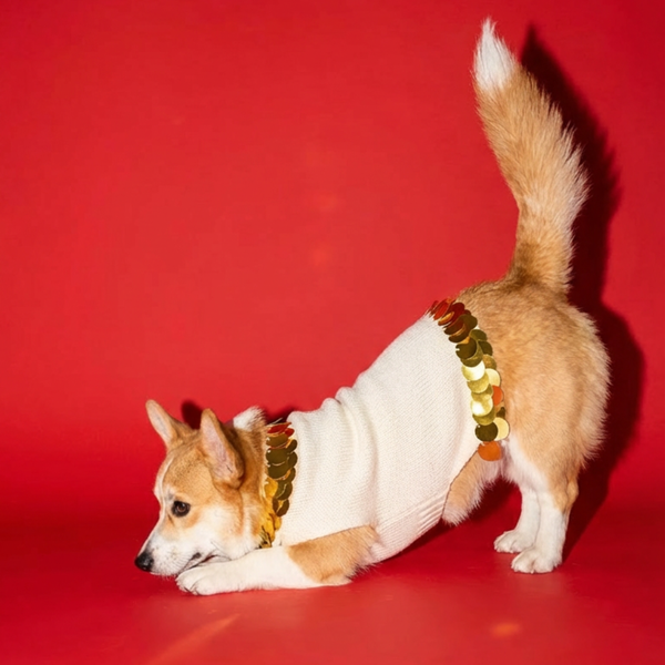rikyu dog sweater Fancy You Sweater