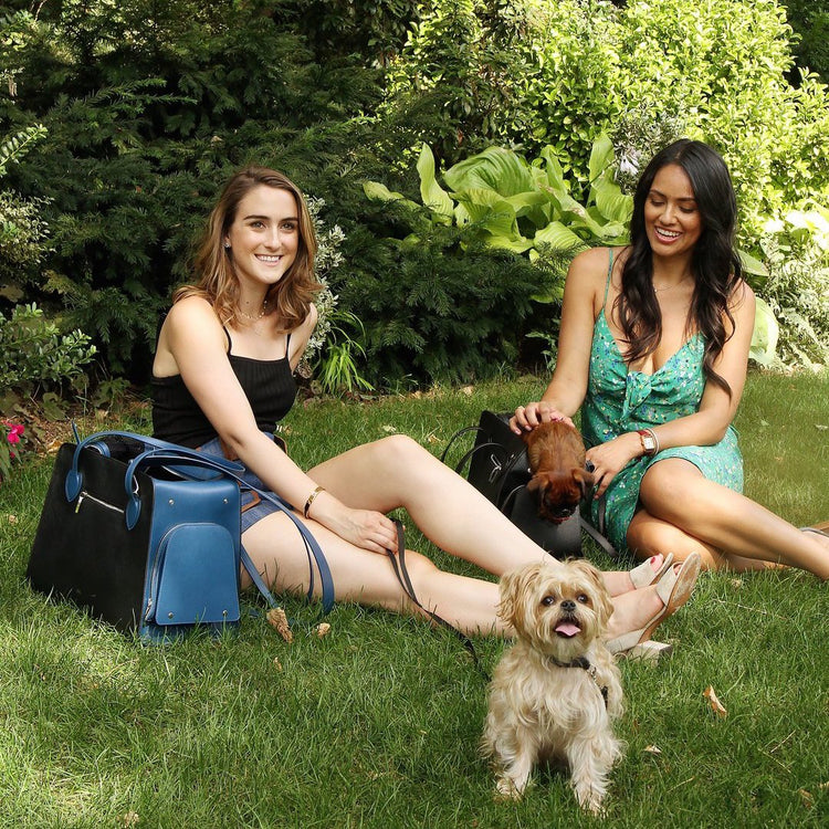 Shaya pets and their people spending time together
