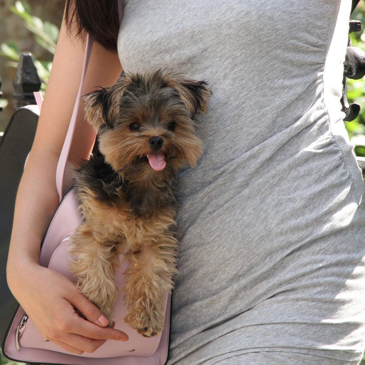 A Shaya pet parent with her dog and Shaya accessories