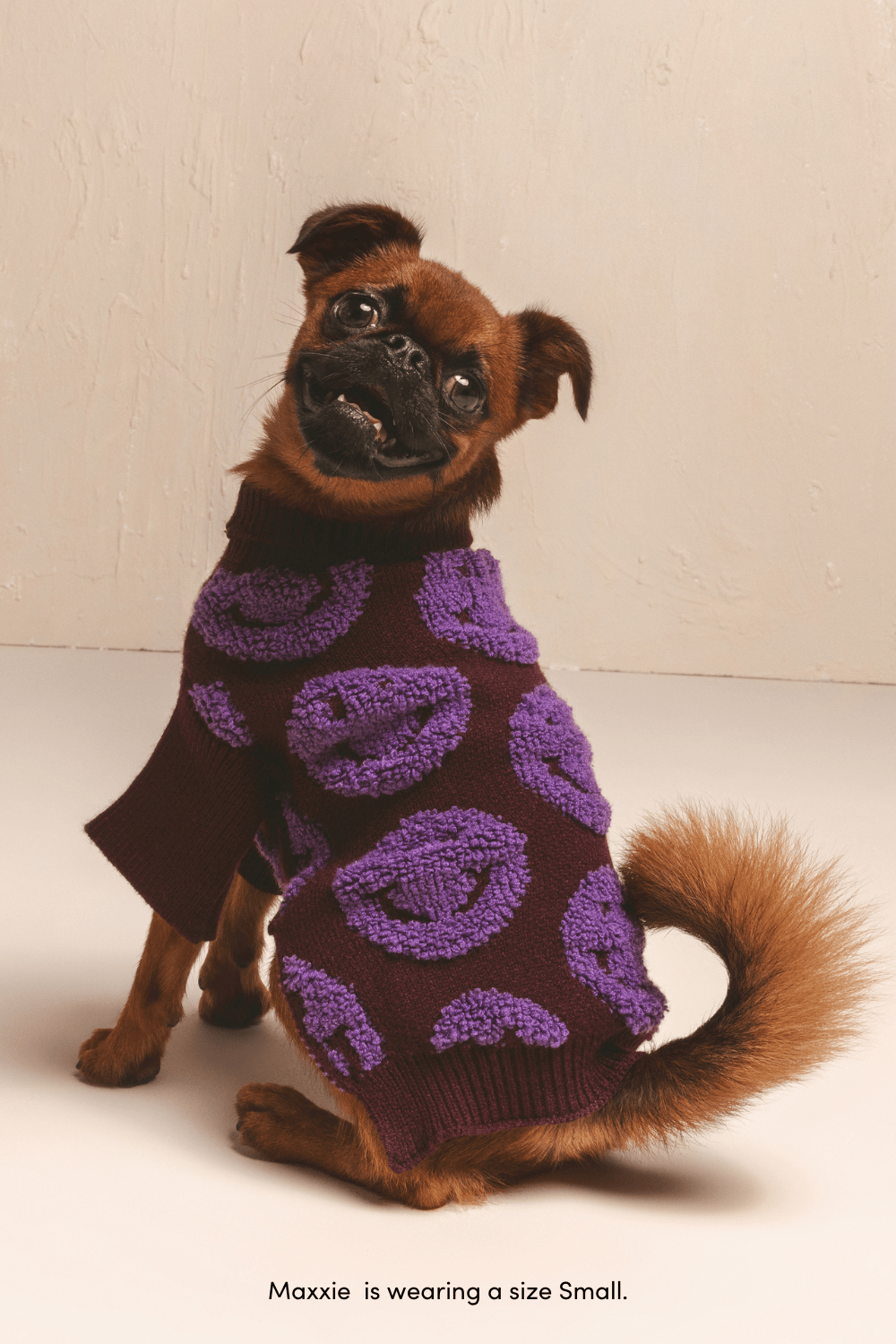 Shaya Pets Smiley Face Pet Sweater