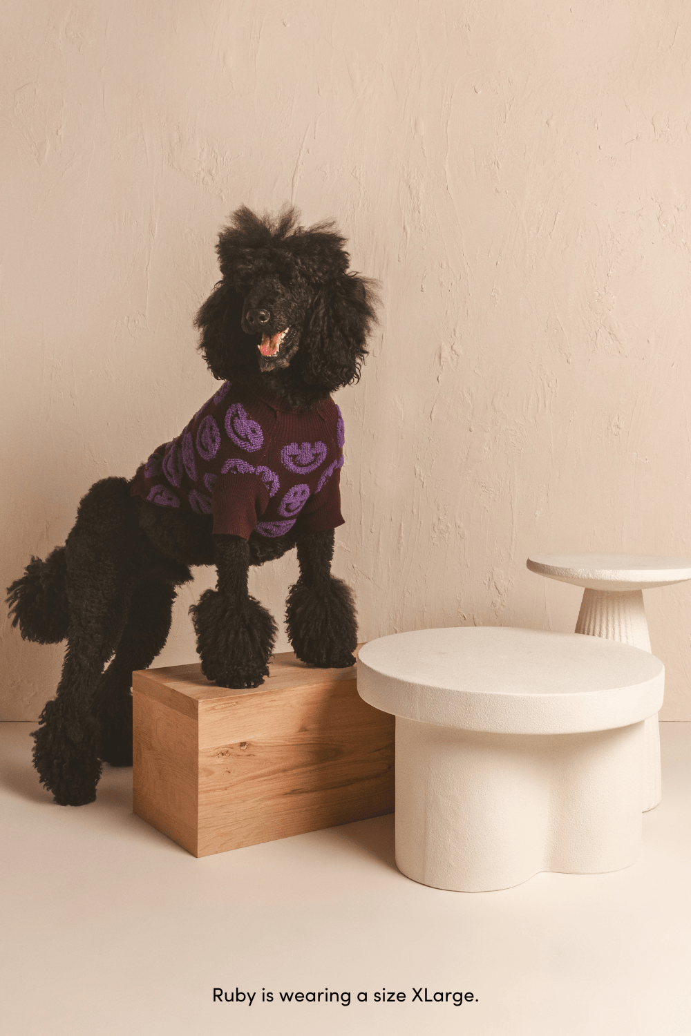 A dog wearing the chocolate Made You Smile sweater with purple smiley faces