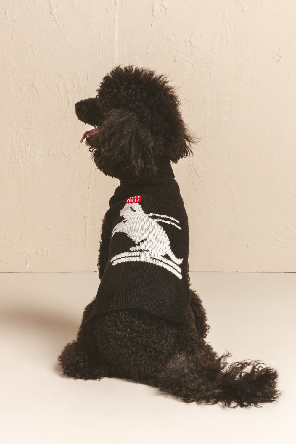 Luxury Pet Clothes | Dog Sweater | Cat Sweater | Ethical Pet