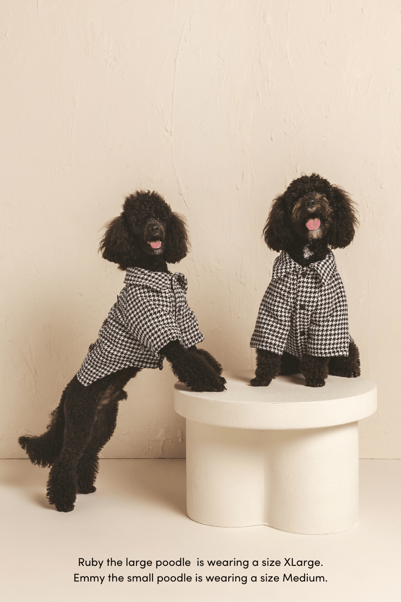 Comfy Patterned Puffer Jacket for Dogs