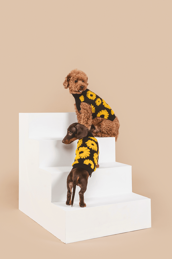 Dog sweater with sunflower embellishments 