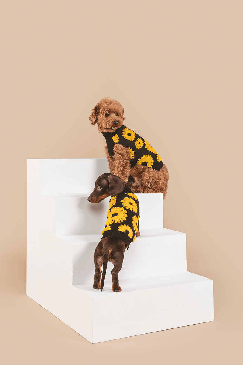 Louis Vuitton Dog Sweater