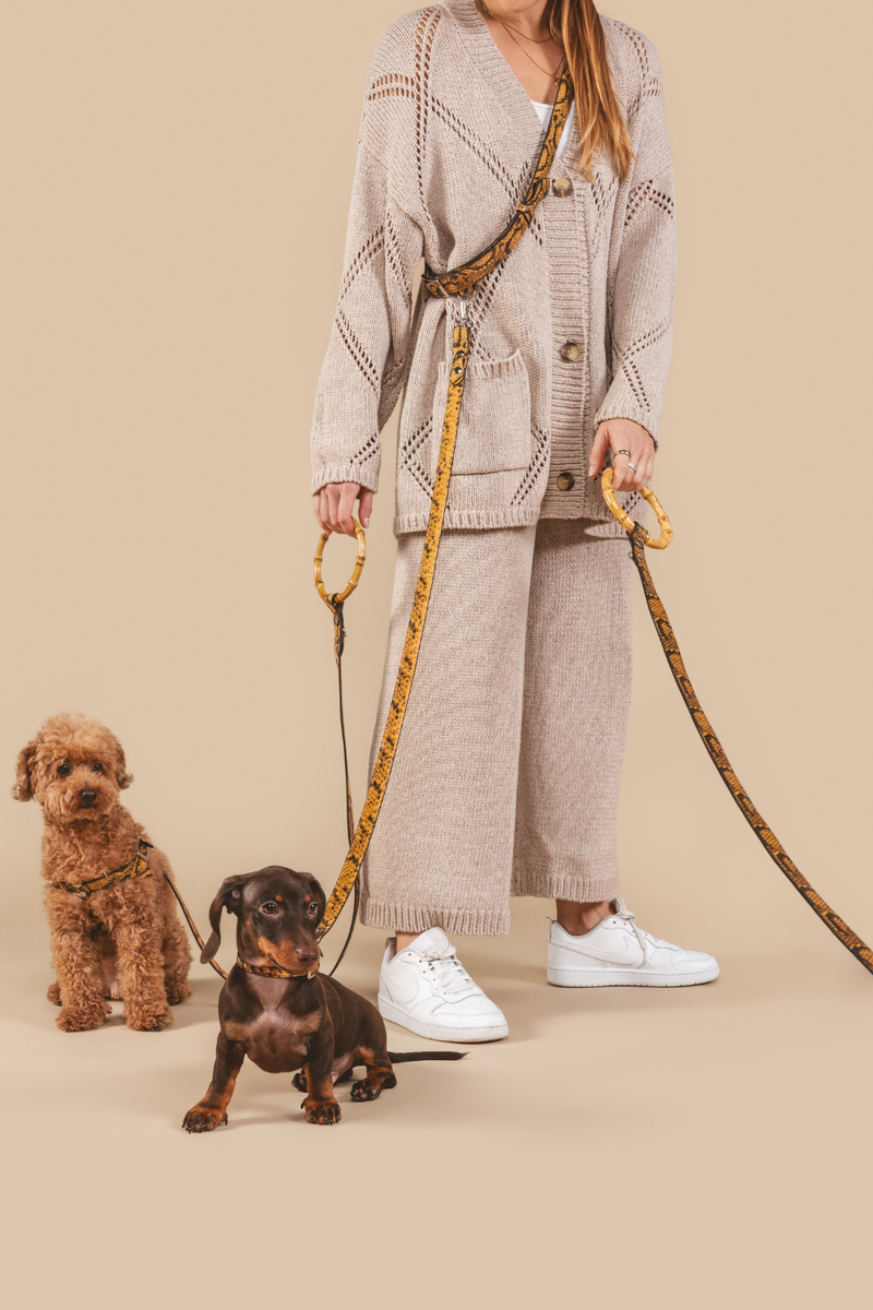 Person in a beige outfit with two dogs on leashes against a beige background