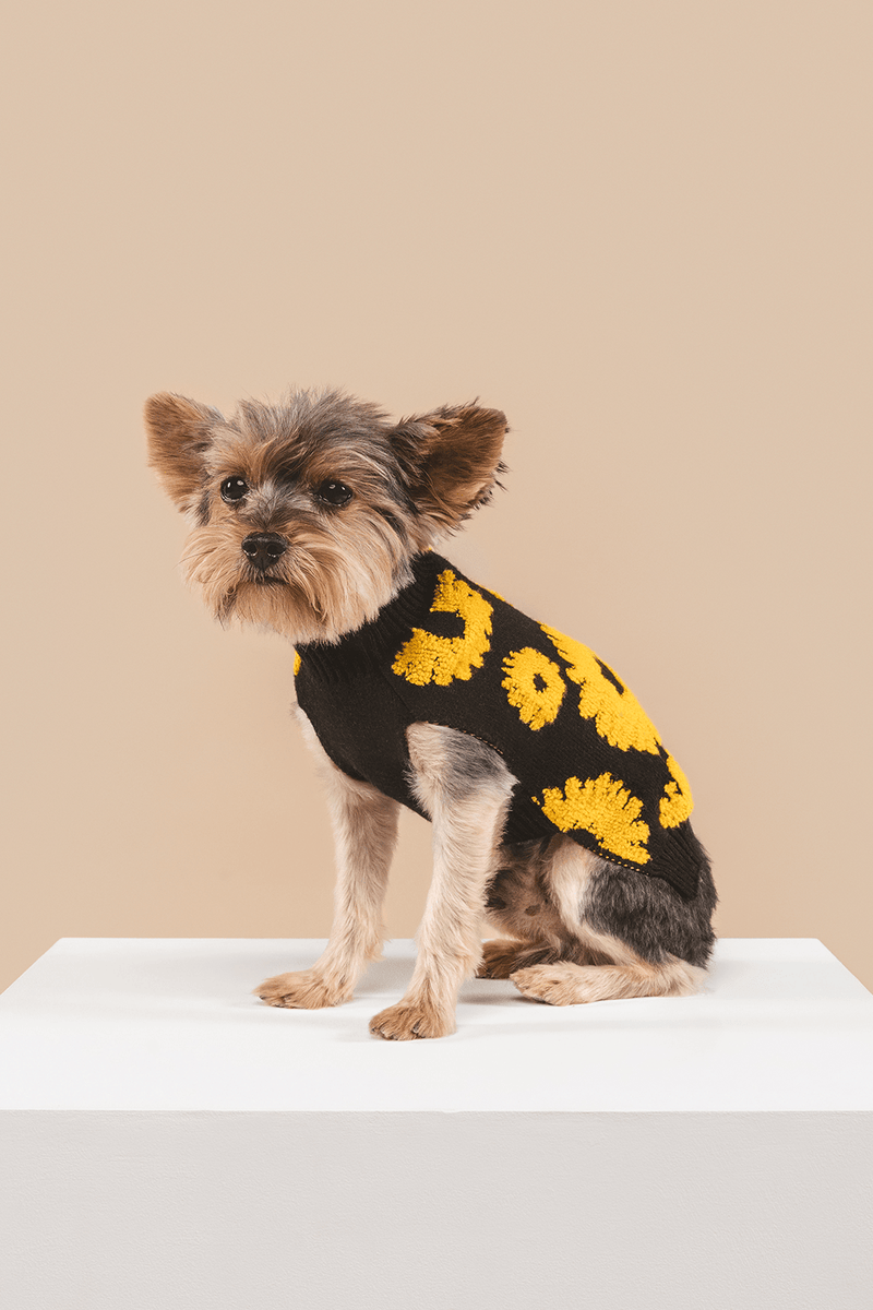 Shaya Pets Sunflower Days Comfortable Pet Sweater