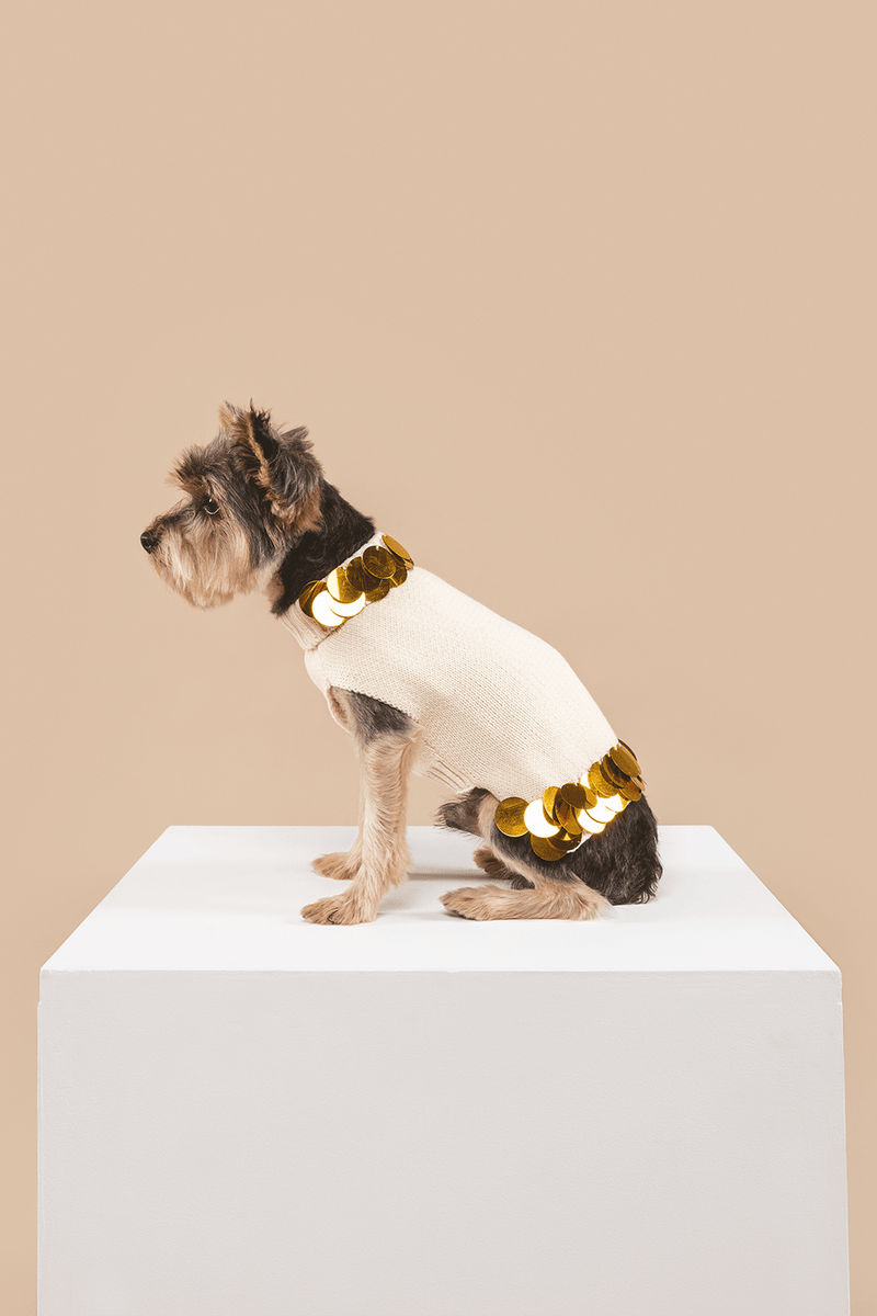 Cotton dog sweater with golden paillettes