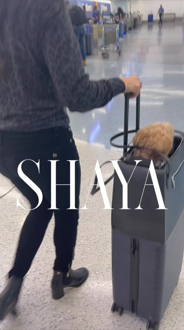 Video of Shaya Pets airline approved carrier.
