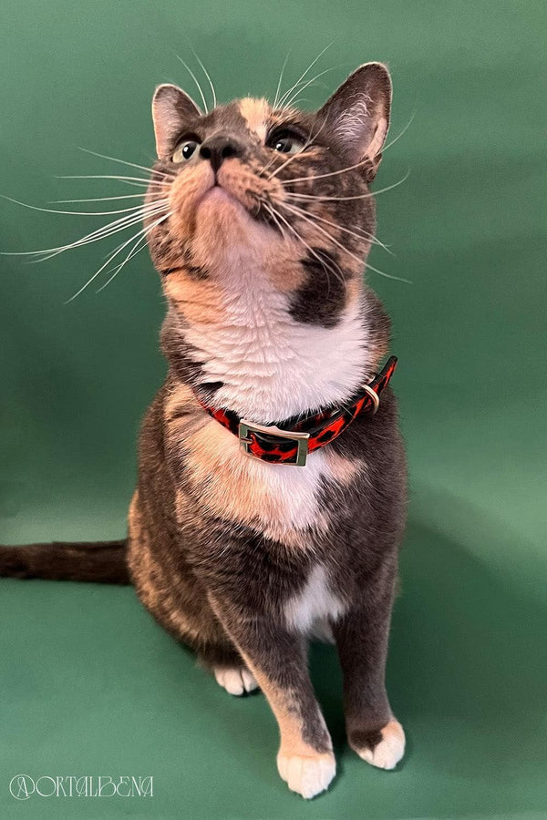 Red Leopard patterned leather collar for cats and dodgs.