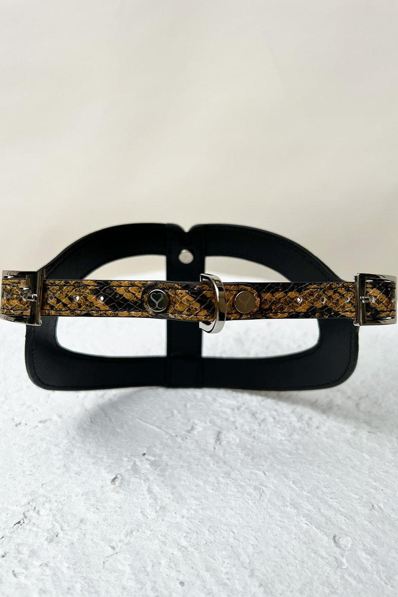 Adjustable leather dog harness.