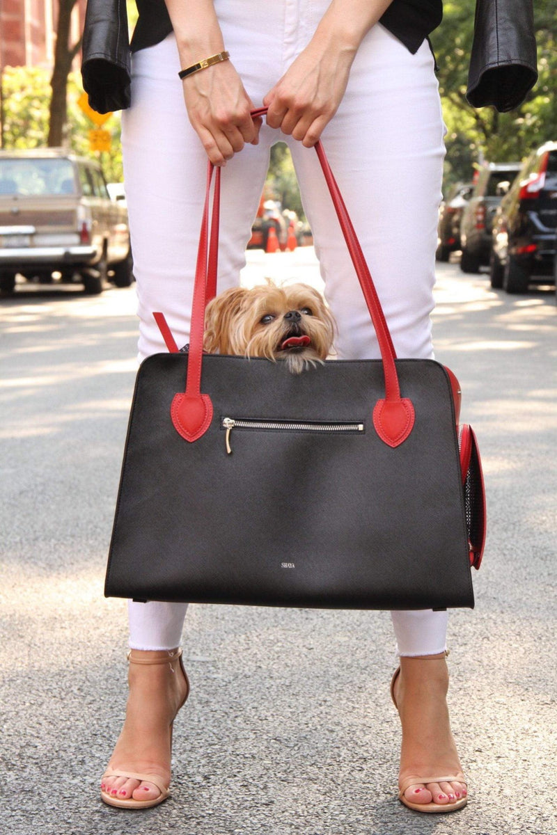 Everyday luxury pet carrier for small dogs.