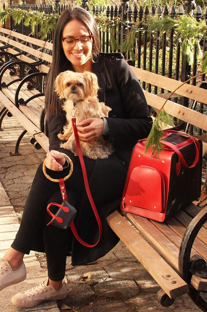 Red poop bag holder and durable red leash and dog bag.