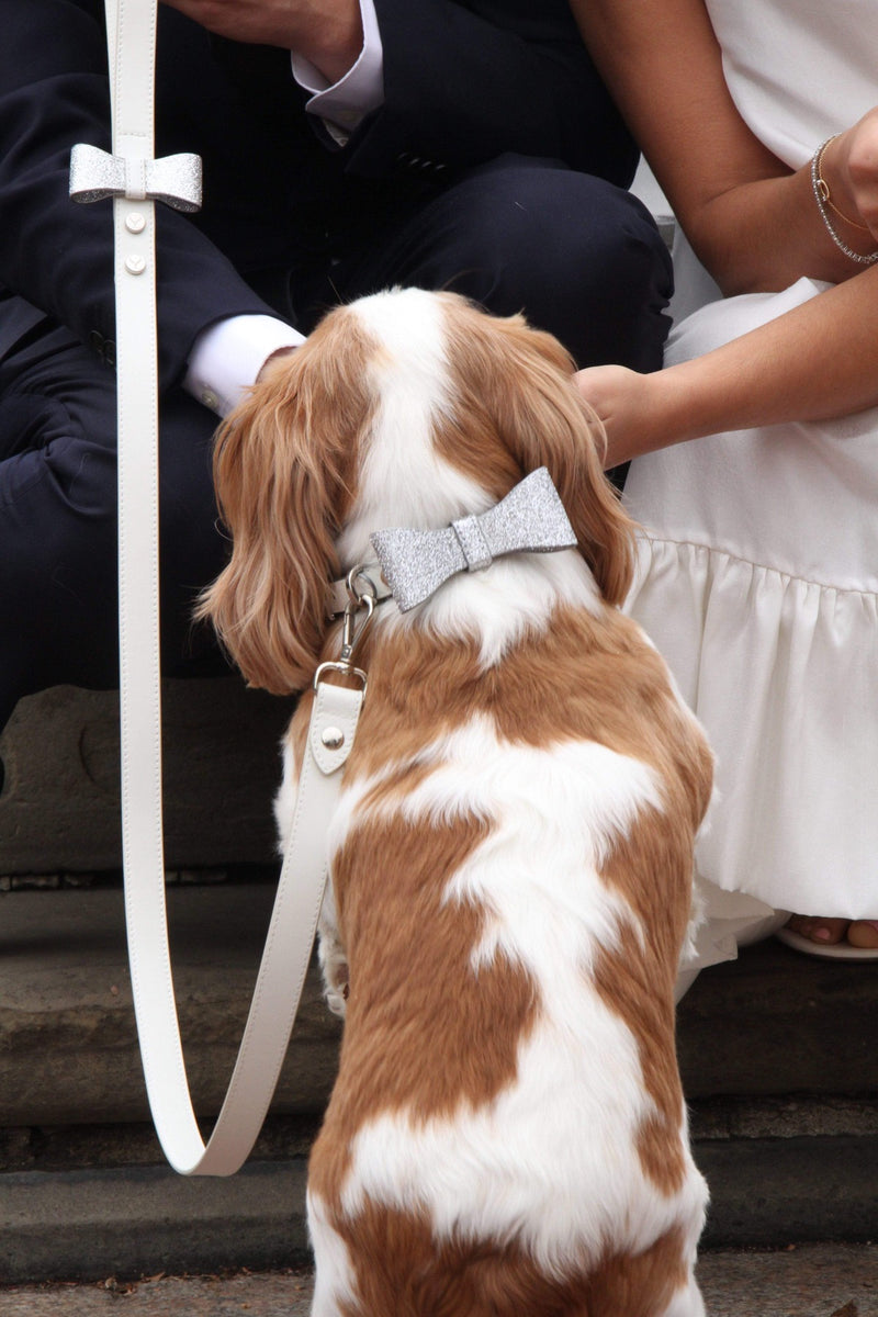 Leather dog leash and collar for weddings. White leather dog collar.
