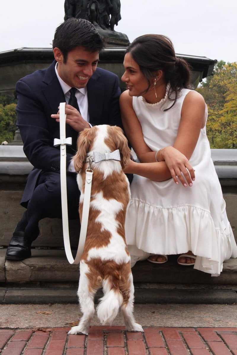 Stylish dog collar and leash for a wedding. Comes with a sparkle bow. 