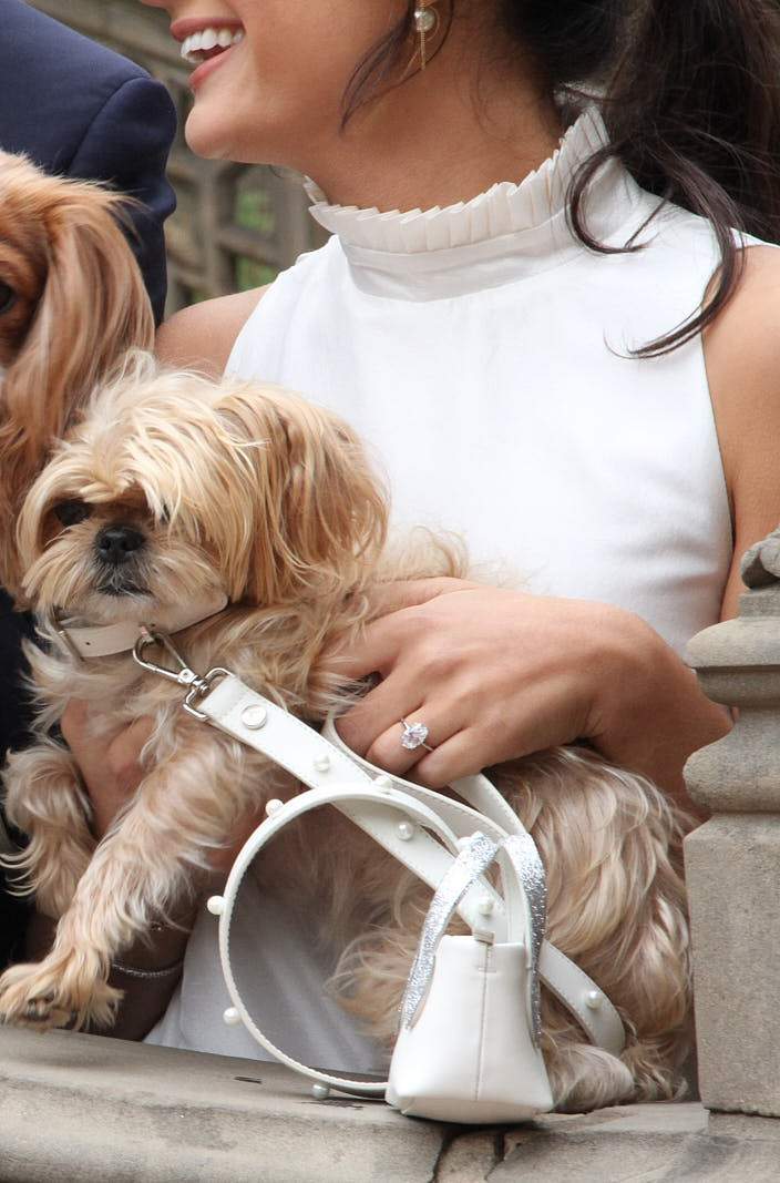 Stylish white leather dog leash for small dogs. Made for weddings.