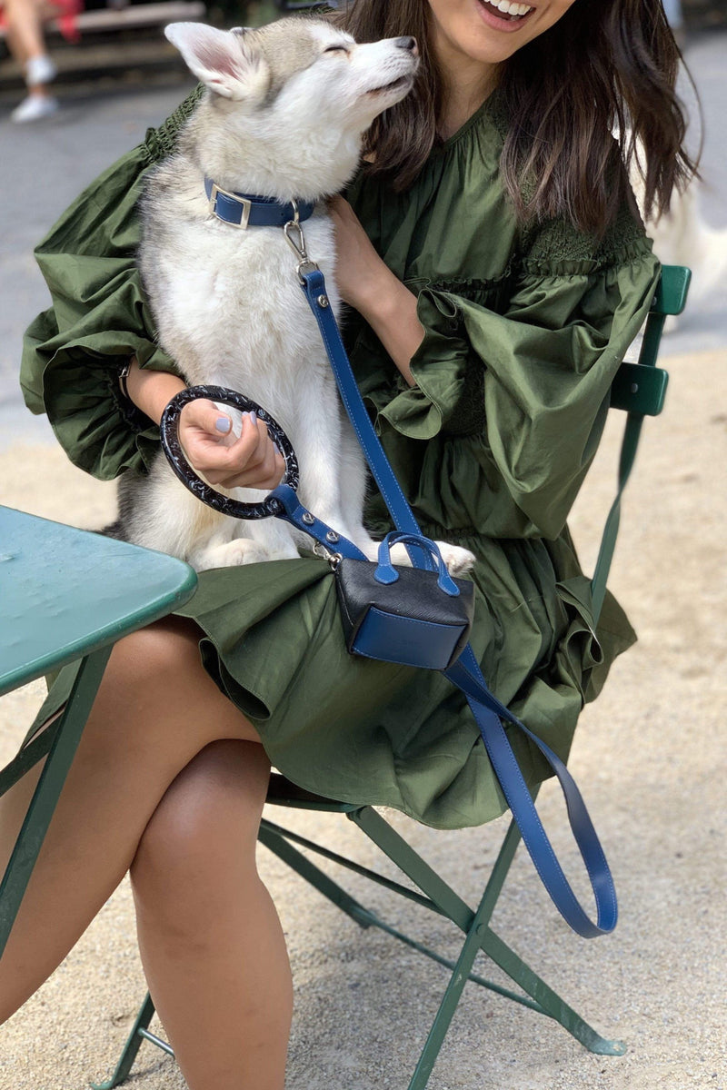 Blue luxury pet accessories that are durable and fashion forward. 