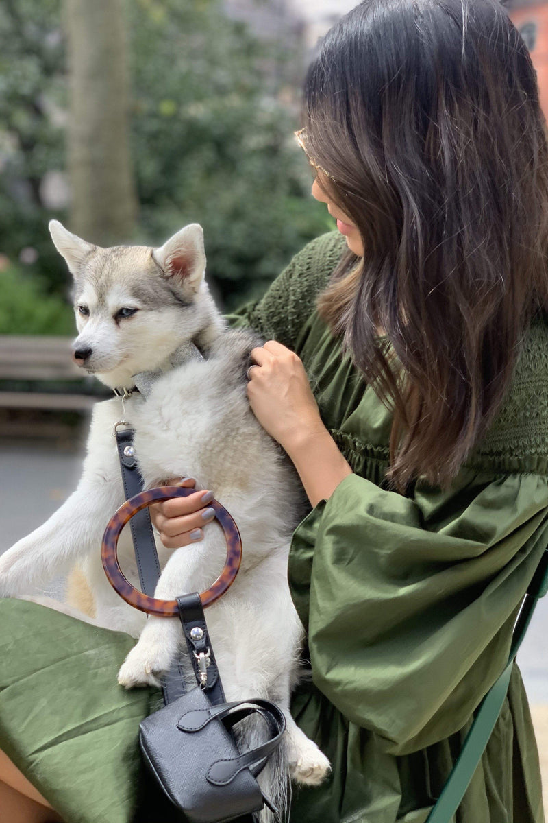 This Poop Purse Is for Stylish Dog Owners