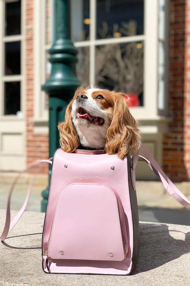 Pink Luxury Pet Carrier for Small Dogs. 