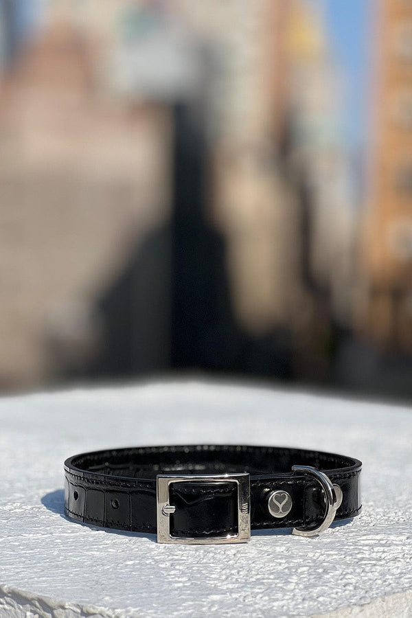 Shaya Pets Taylor Pet Collar - Bergdorf Goodman