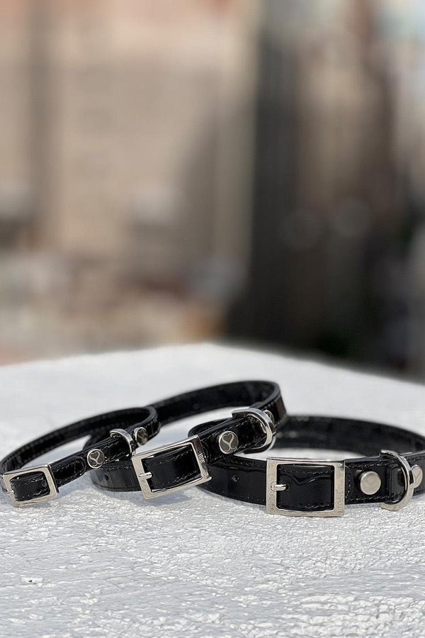 Shaya Pets luxury dog collar. Made in Italy. 