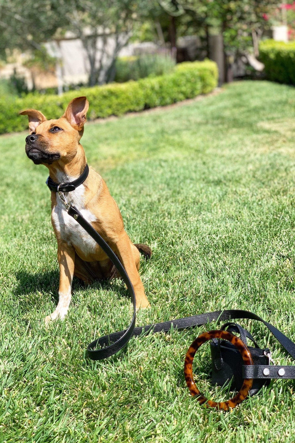 Vegan Leather Leash main image 0