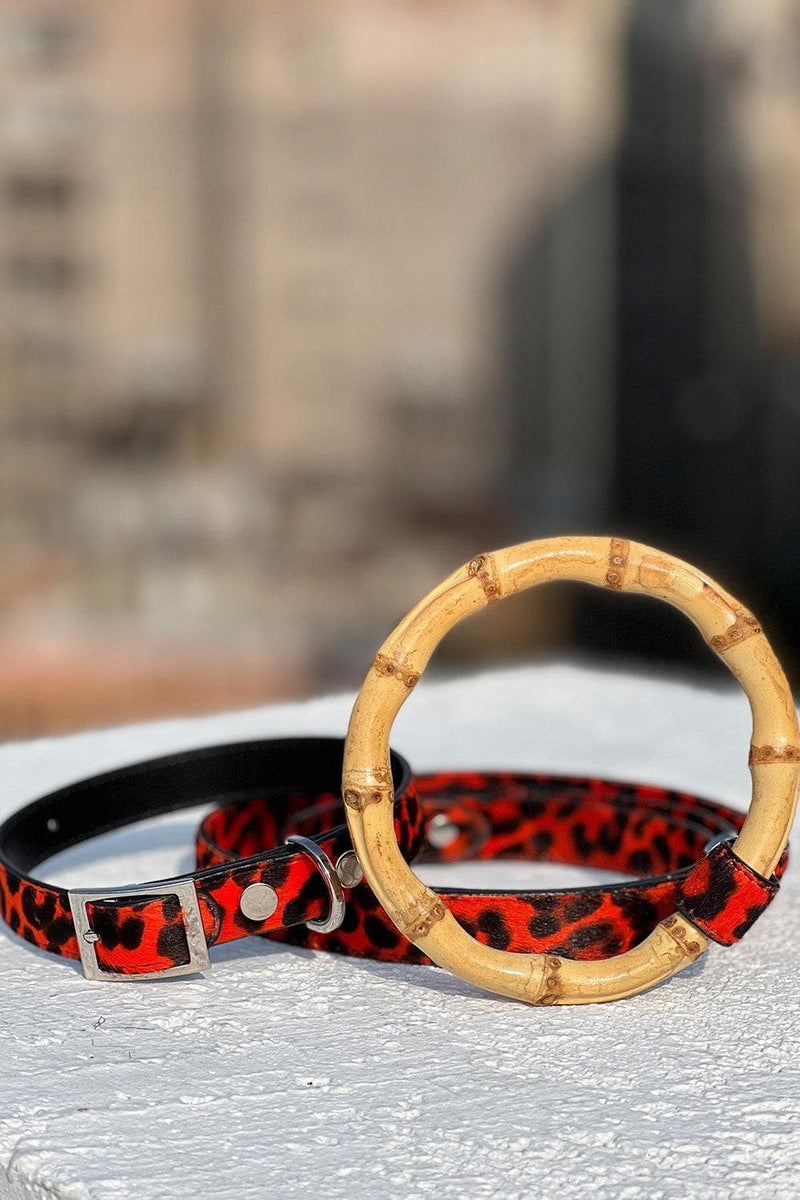 Bold dog leash in red leopard - shaya pets