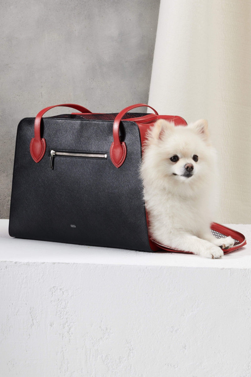 8 Of The Smallest Breeds Of Dogs You Can Try To Carry In Your HandBags