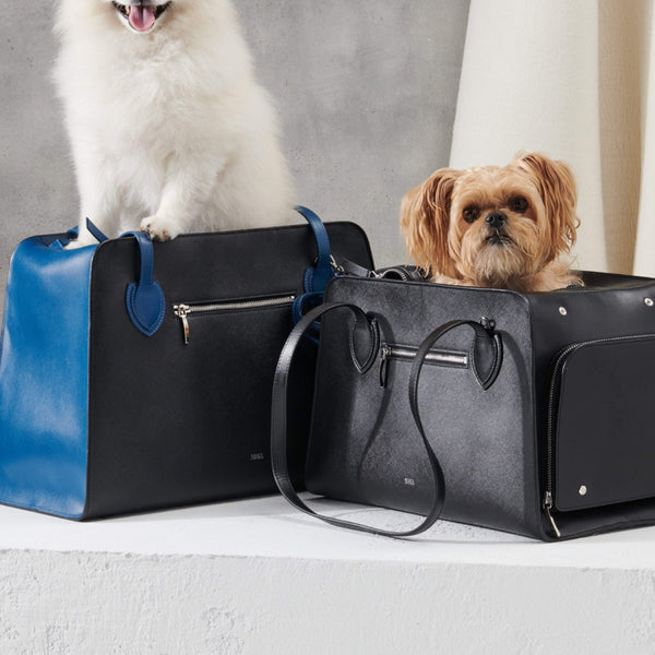 Shaya Cobalt Leather Dog Carrier | Airline Approved Pet Carrier