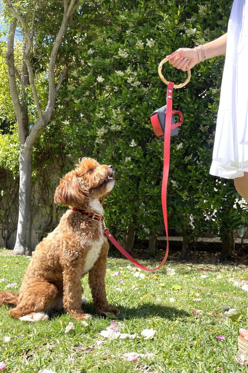 Shaya Pets Ruby leash