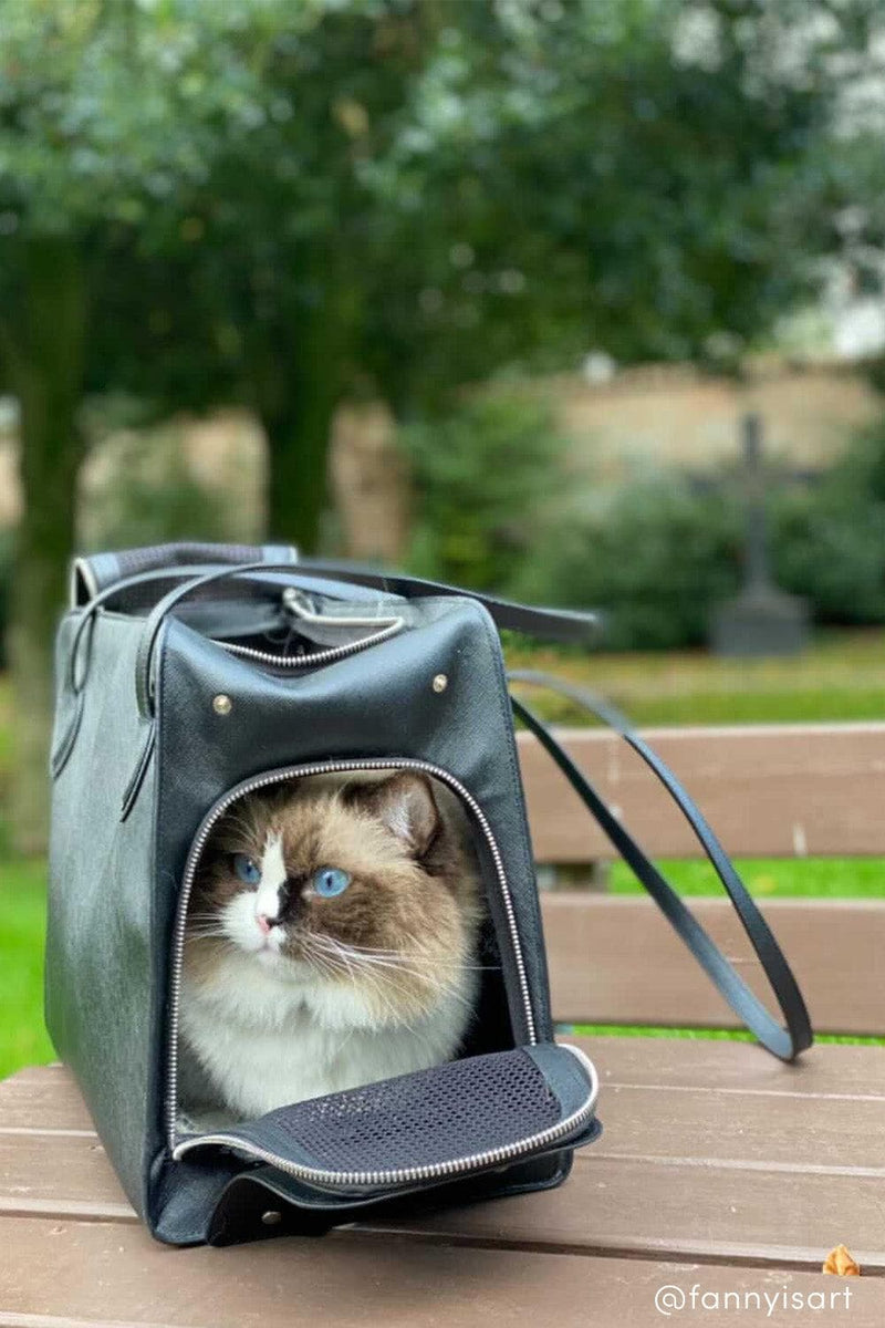 Shaya Pets Cat Carrier. Airline compliant.