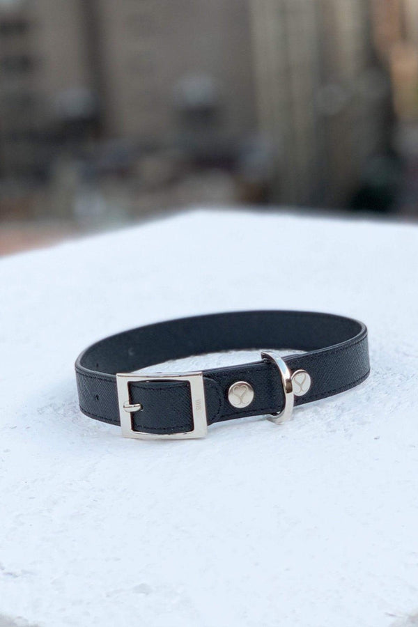 Shaya Pets Taylor Collar in Vegan Canvas. 