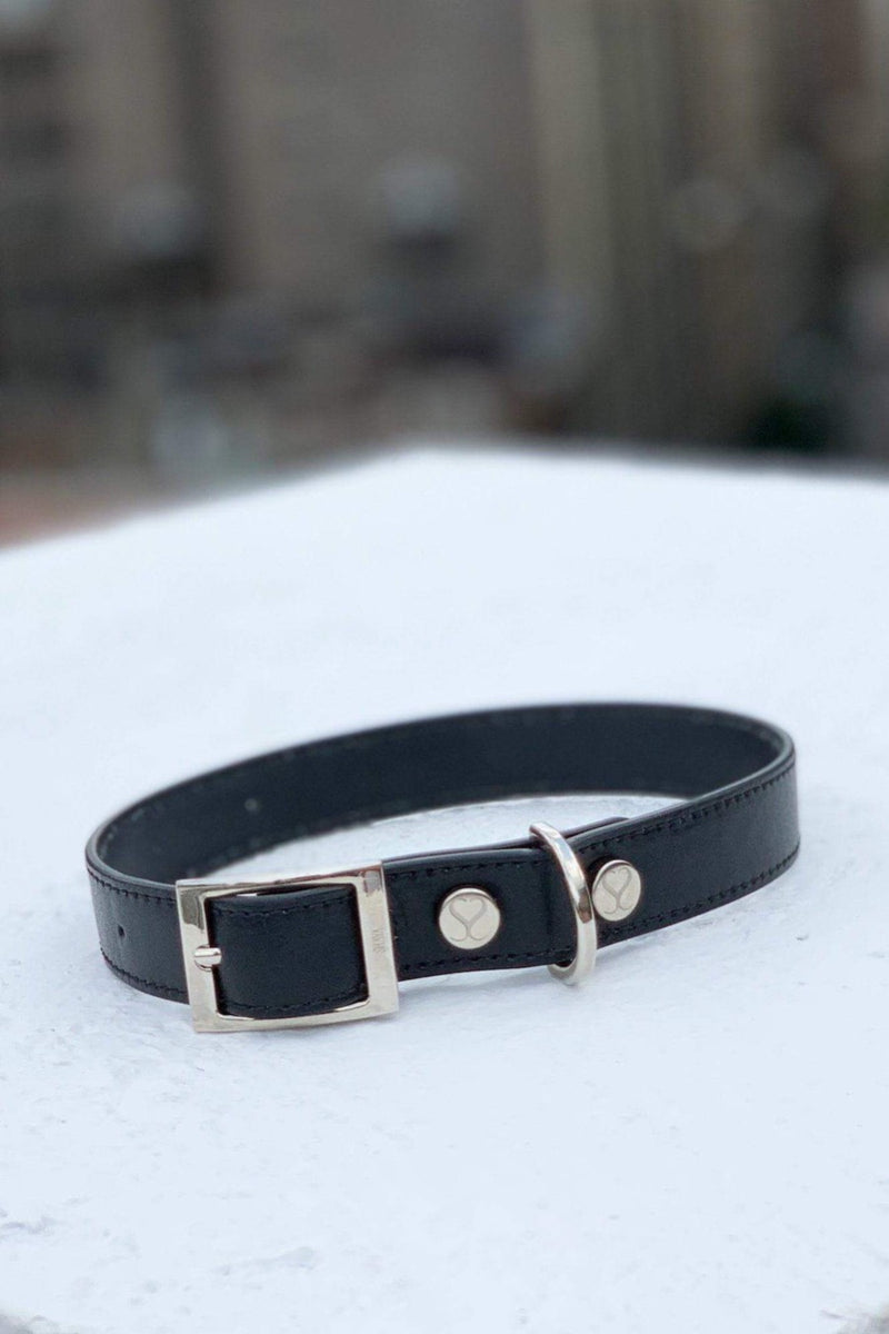 Shaya Pets Taylor collar in black leather. Made in Italy. 