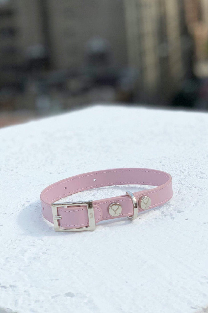 Shaya Pets Taylor Blush dog collar. Made in Italy.
