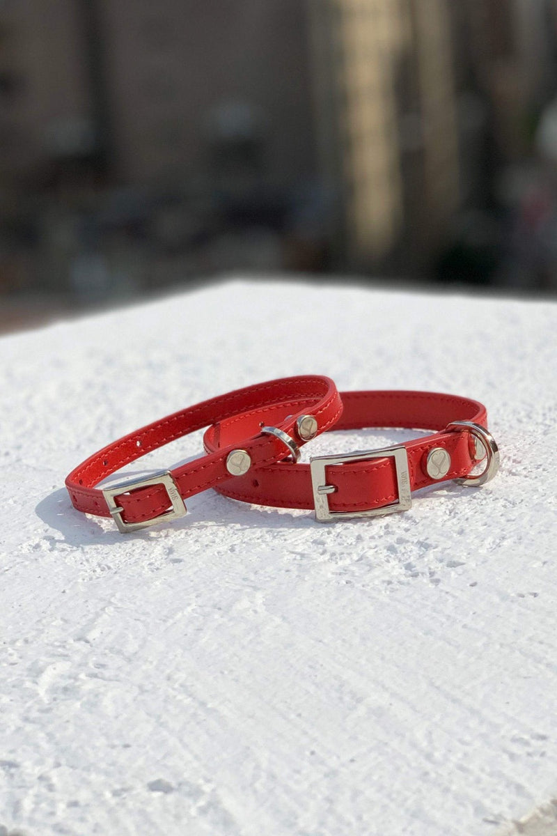 Durable red dog collar.