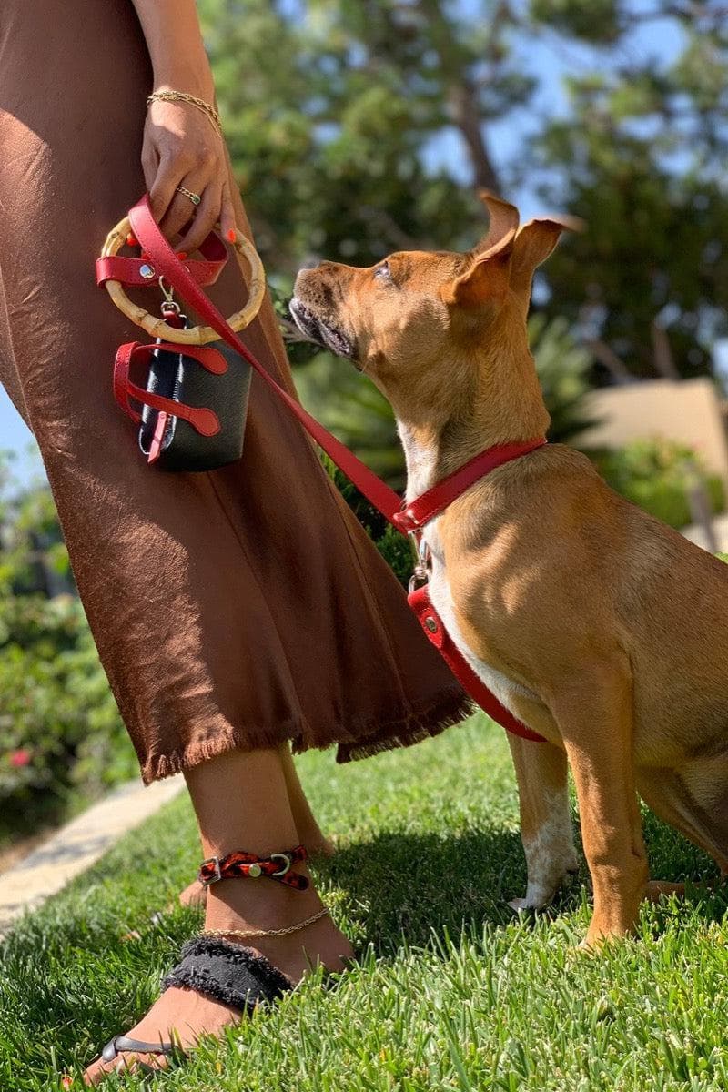 Red coin wallet purse by Shaya pets. Doubles as a poop bag holder for dog walking sets.